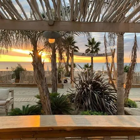 Smoothie Willa Canet-en-Roussillon