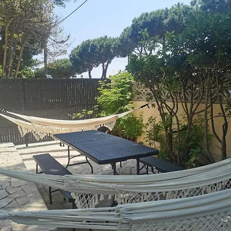 Smoothie Canet-en-Roussillon